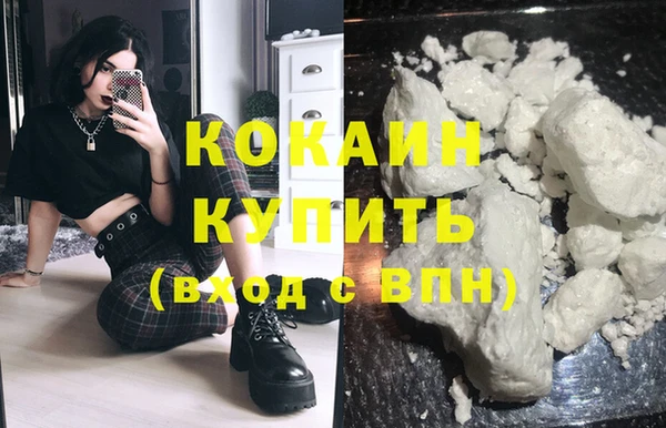 индика Покровск