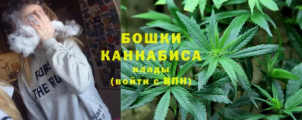 эйфоретик Покачи