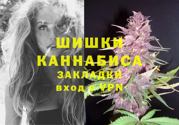 эйфоретик Покачи