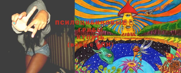 эйфоретик Покачи