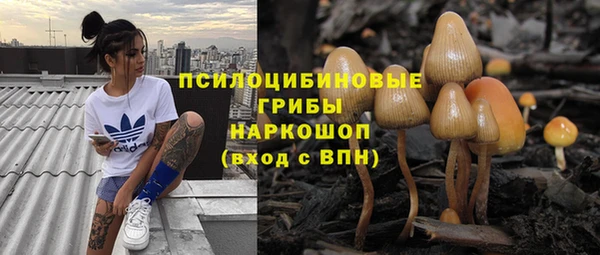 индика Покровск