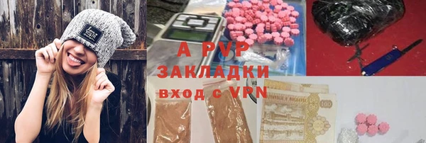 эйфоретик Покачи