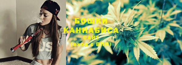 эйфоретик Покачи