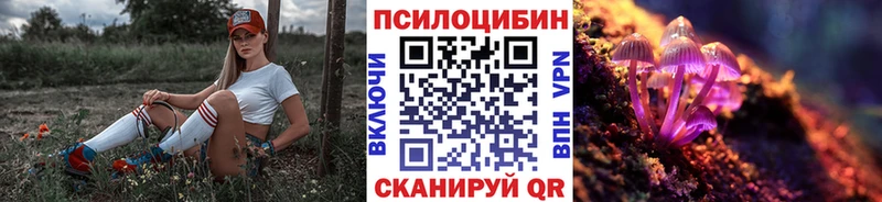 Галлюциногенные грибы Psilocybe  как найти закладки  Любим 