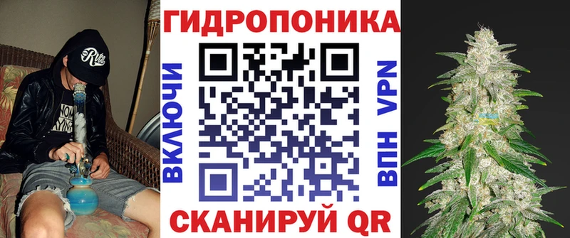 KRAKEN как войти  Любим  Конопля LSD WEED 